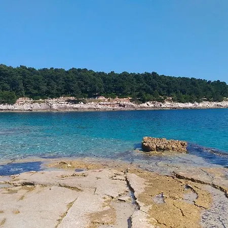 Seaview Arena 아파트