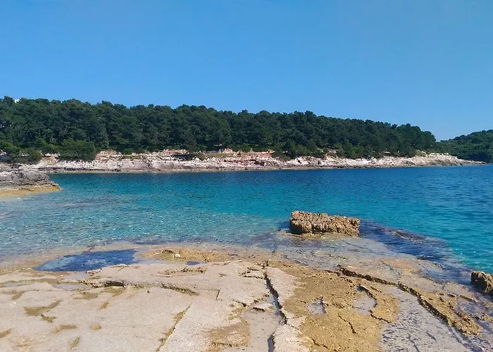 Seaview Arena Apartman